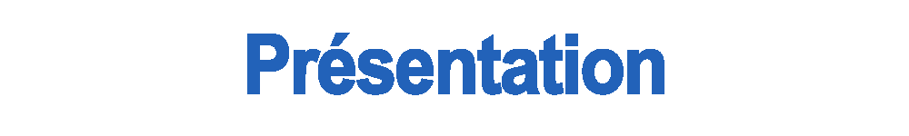 Présentation MP menuiserie
