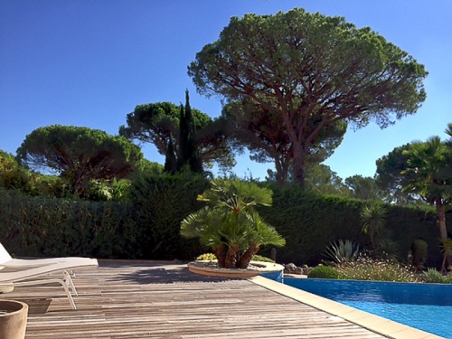 MP Menuiserie terrasse en bois iroko